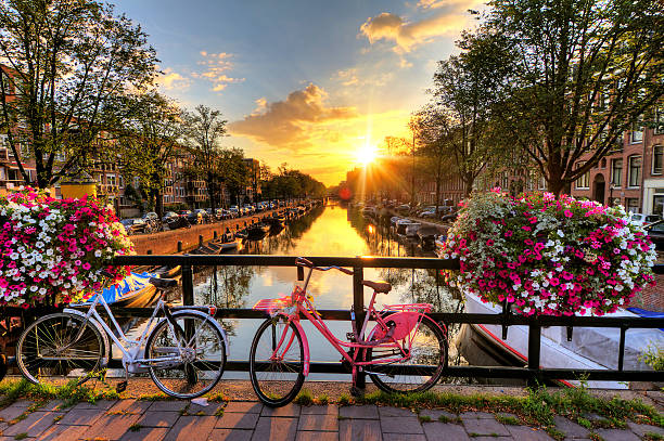 Beautiful sunrise over Amsterdam, The Netherlands, with flowers and bicycles on the bridge in spring