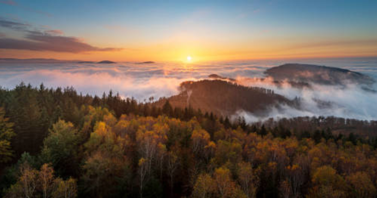 hotels im schwarzwald